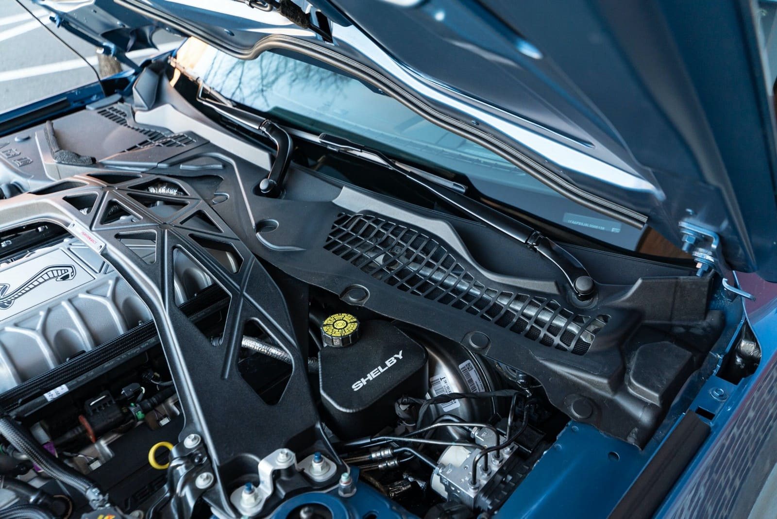 2020 - FORD MUSTANG SHELBY GT500 FP BLUE, foto 122