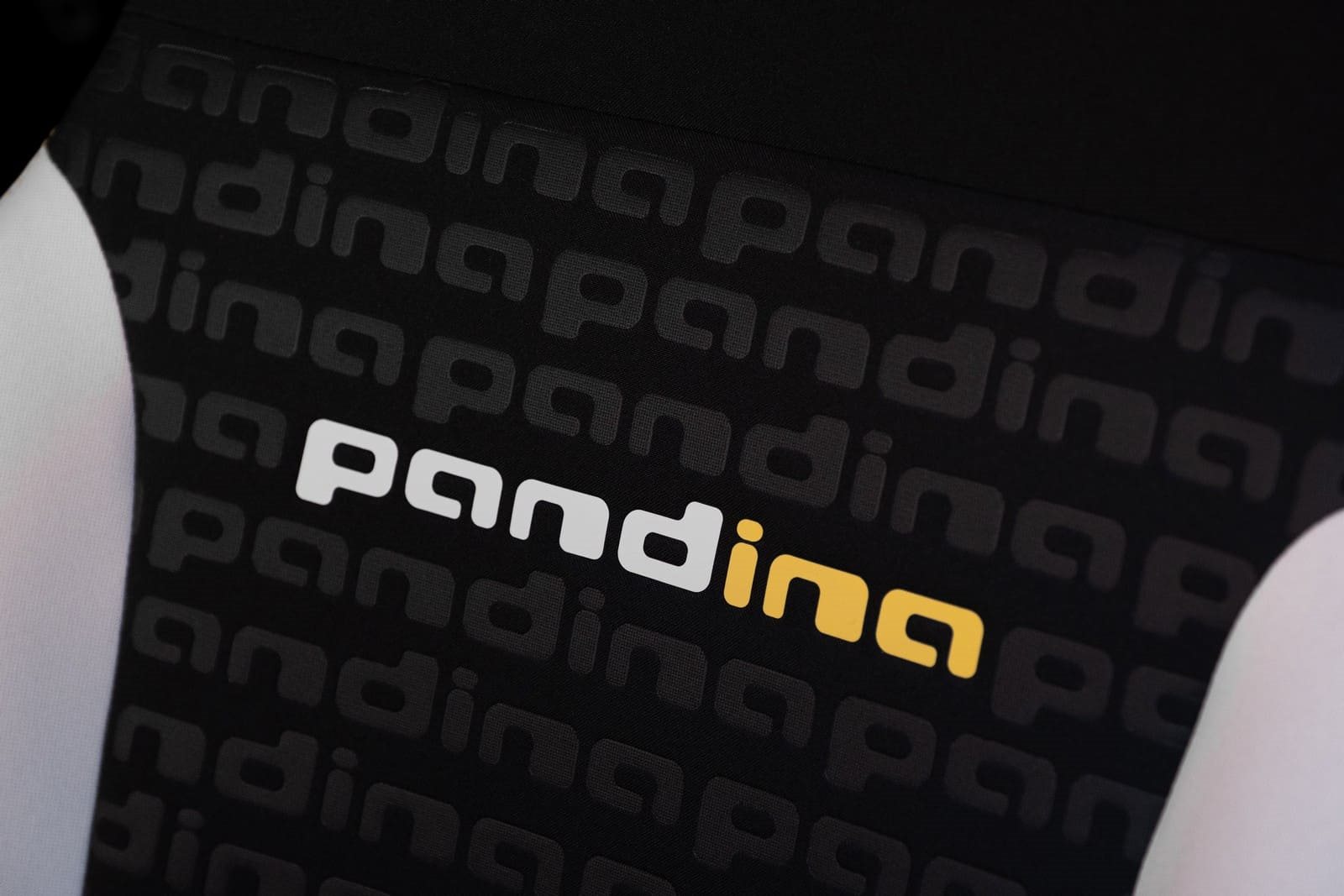 2024 - FIAT PANDINA, foto 18