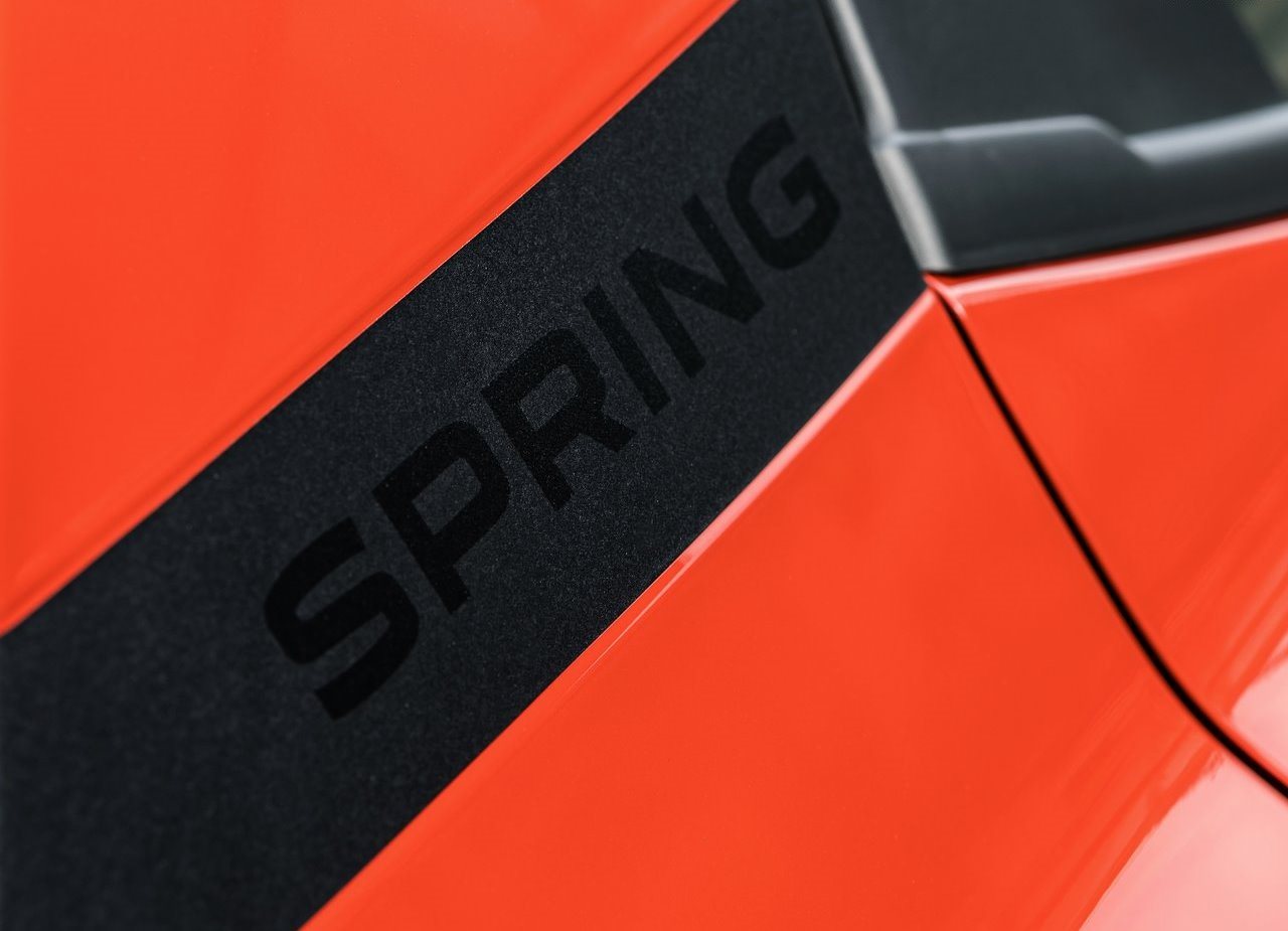 DACIA SPRING, foto 114