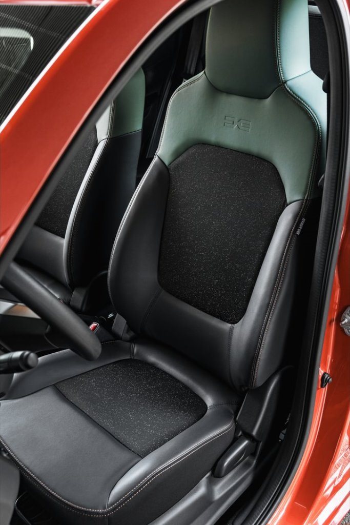 DACIA SPRING, foto 119