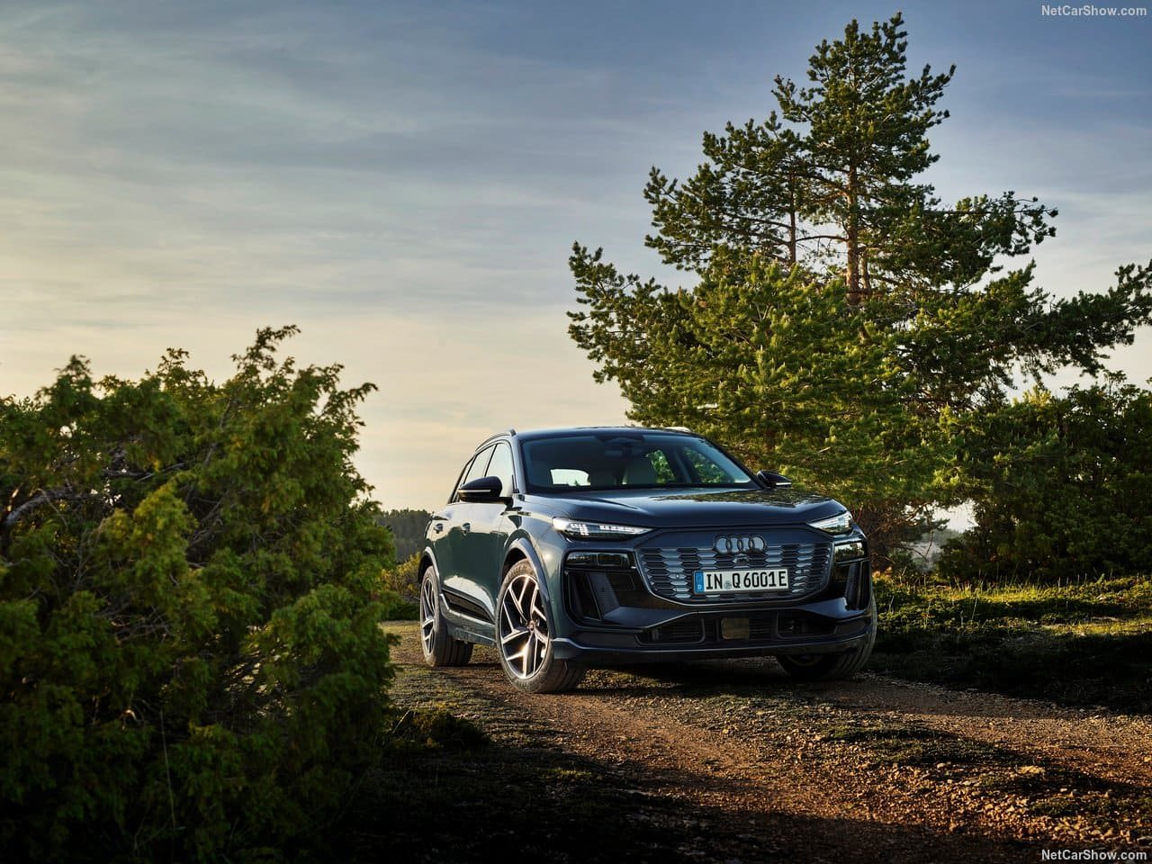 2025 - AUDI Q6 E-TRON QUATTRO, foto 4