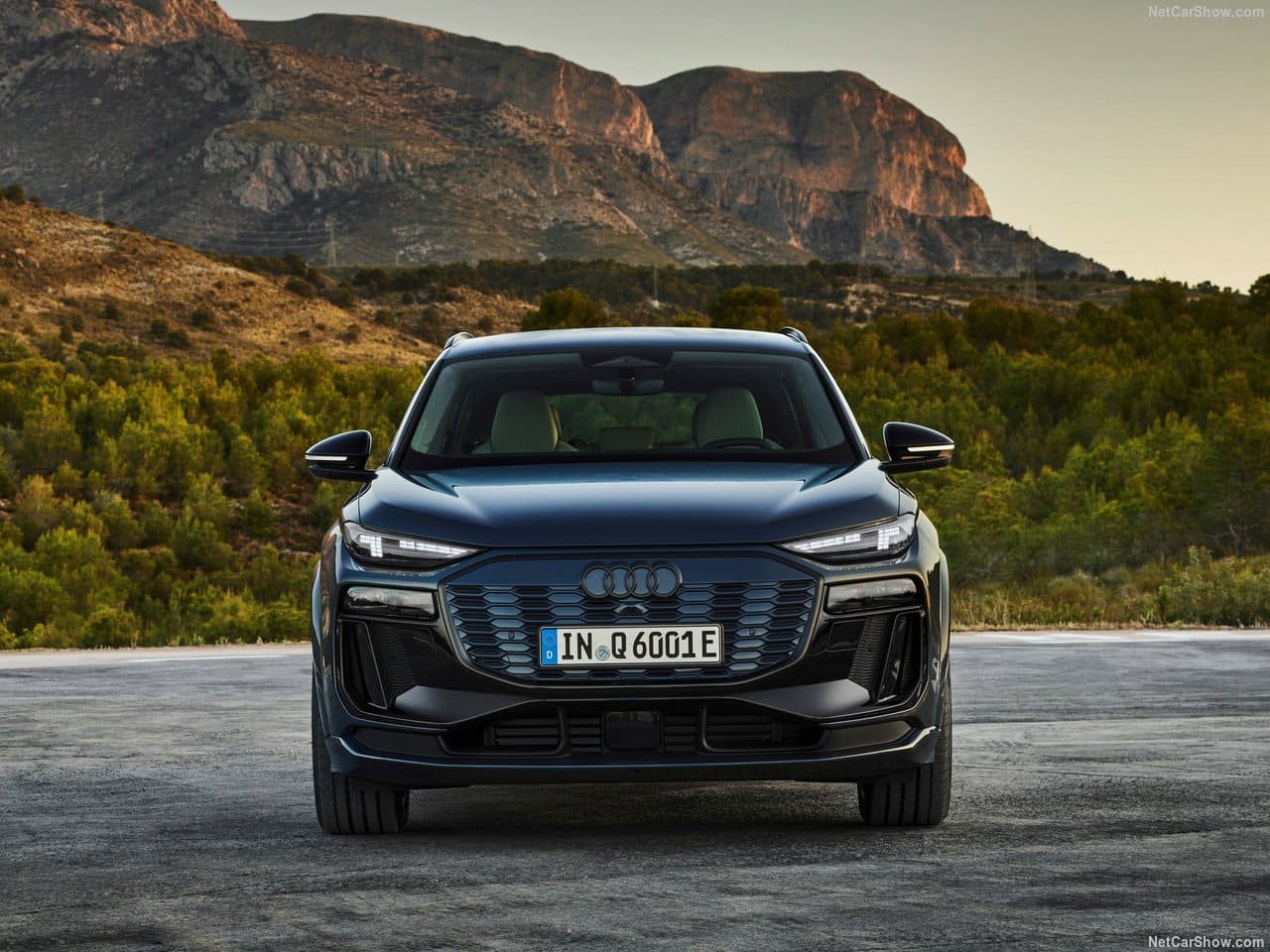 2025 - AUDI Q6 E-TRON QUATTRO, foto 98