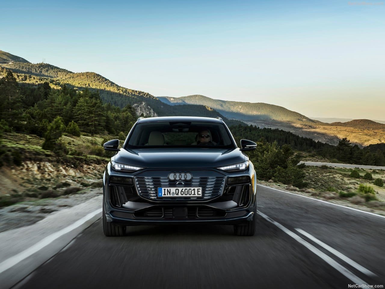 2025 - AUDI Q6 E-TRON QUATTRO, foto 100