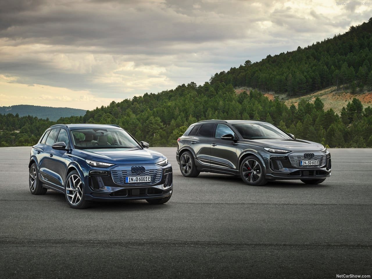 2025 - AUDI Q6 E-TRON QUATTRO, foto 110