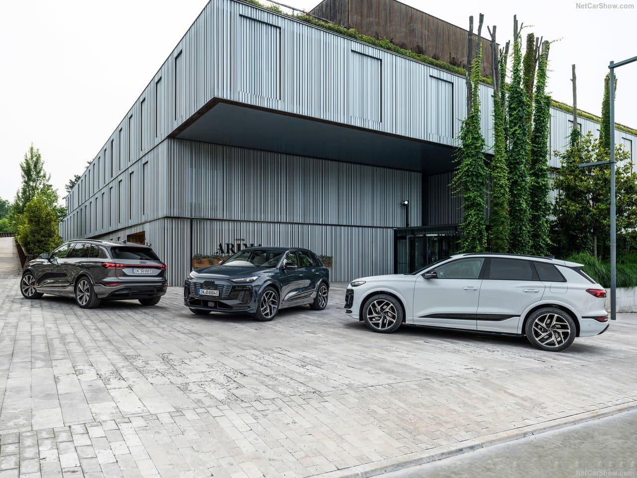 2025 - AUDI Q6 E-TRON QUATTRO, foto 115