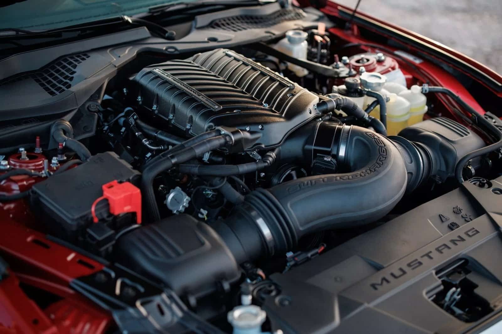 2024 - FORD MUSTANG SHELBY SUPER SNAKE, foto 43