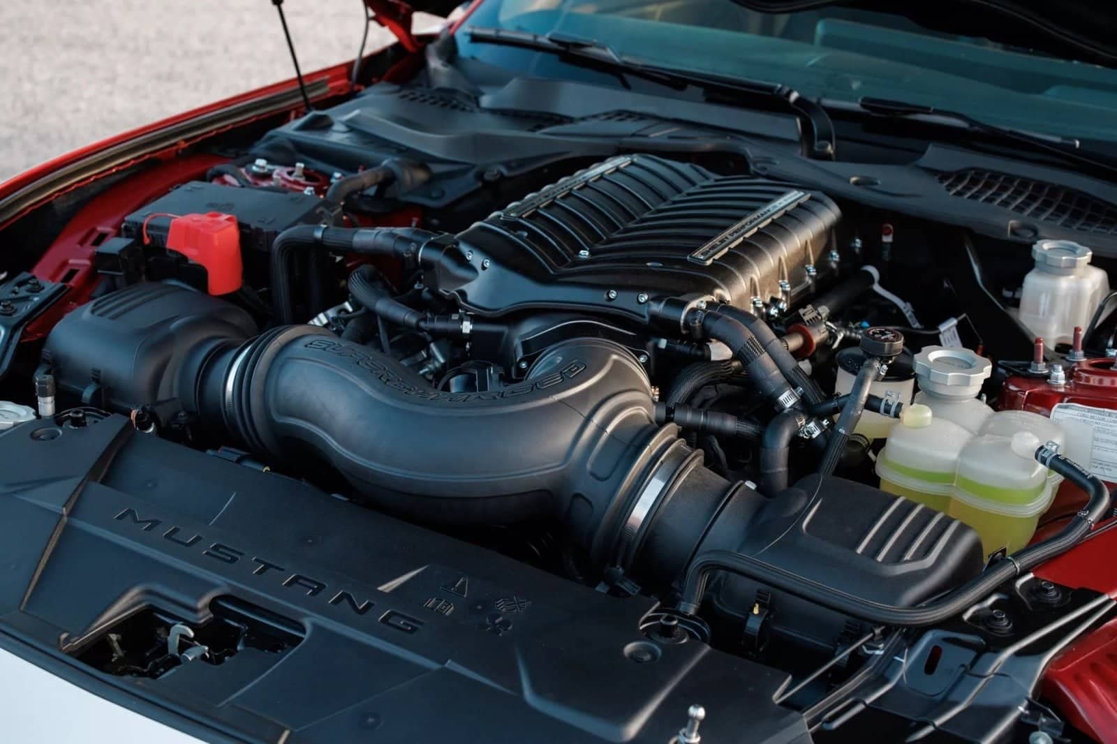 2024 - FORD MUSTANG SHELBY SUPER SNAKE, foto 44