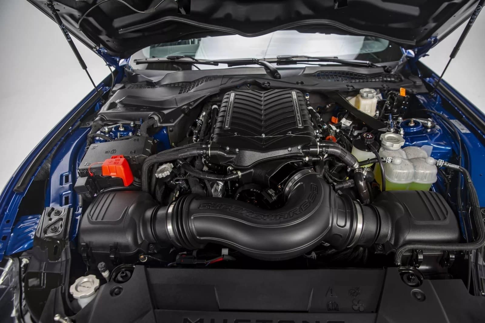 2024 - FORD MUSTANG SHELBY SUPER SNAKE, foto 59