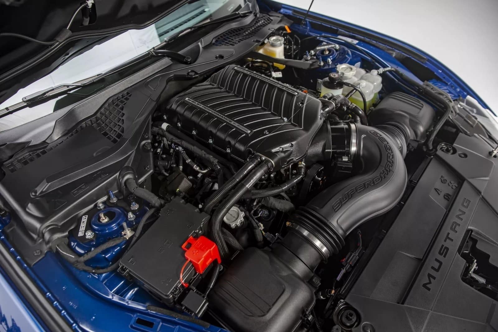 2024 - FORD MUSTANG SHELBY SUPER SNAKE, foto 60