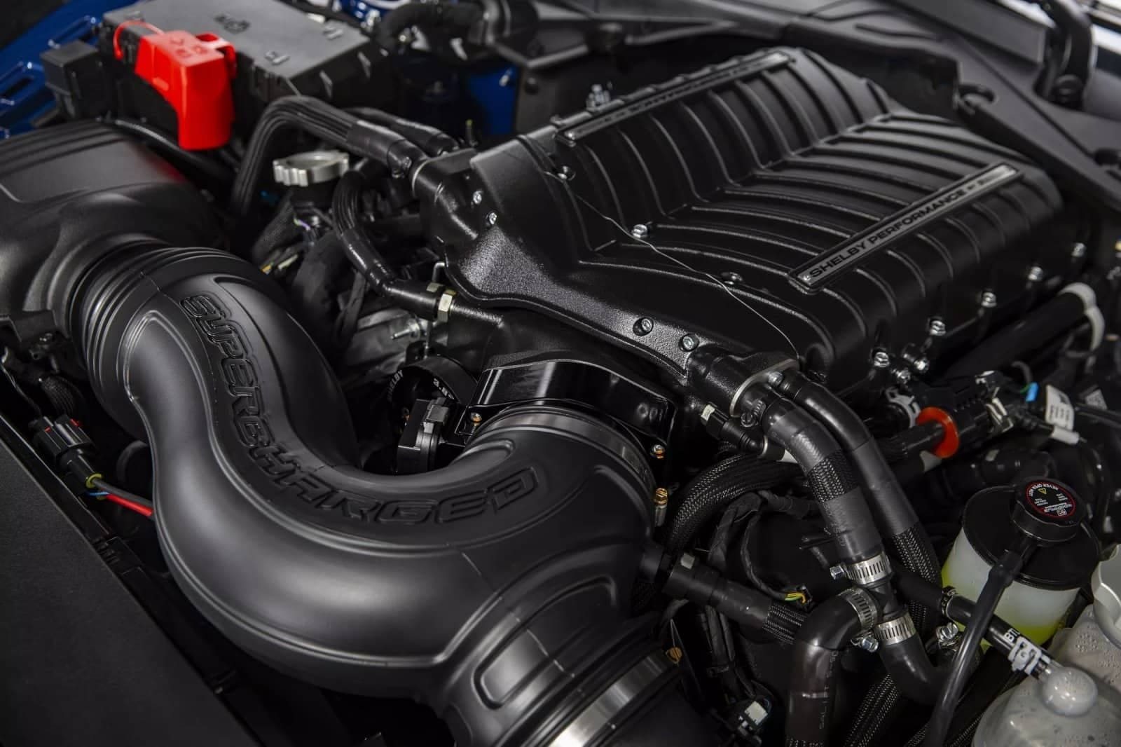 2024 - FORD MUSTANG SHELBY SUPER SNAKE, foto 61