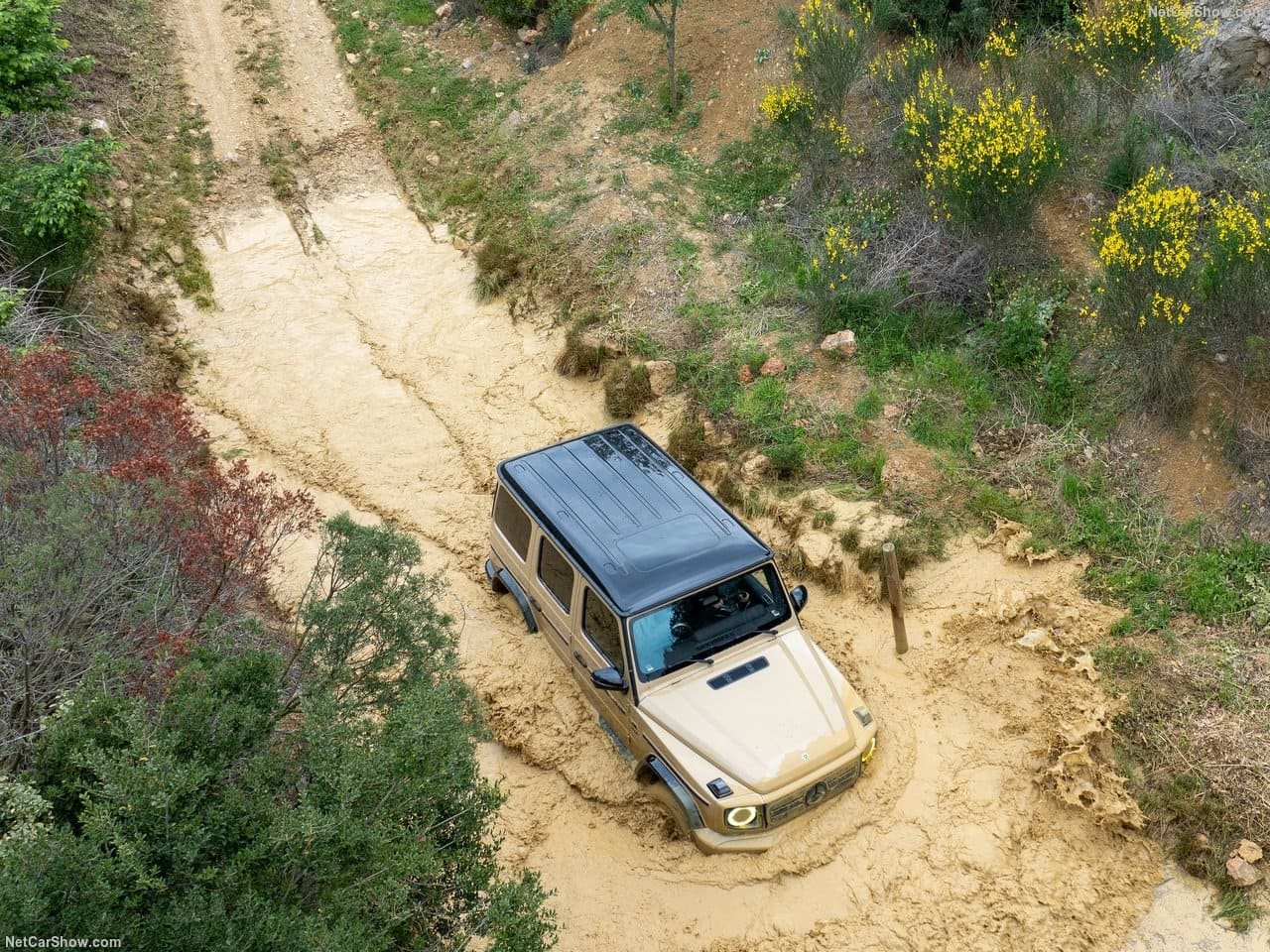 2025 - MERCEDES-BENZ G 580 EQ, foto 52