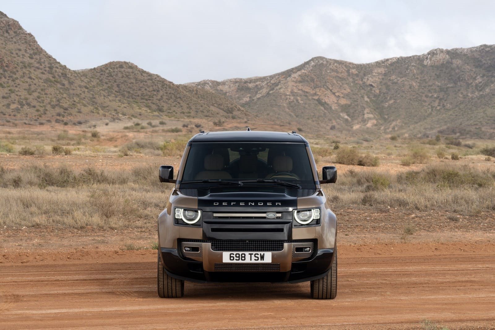 LAND ROVER DEFENDER, foto 87