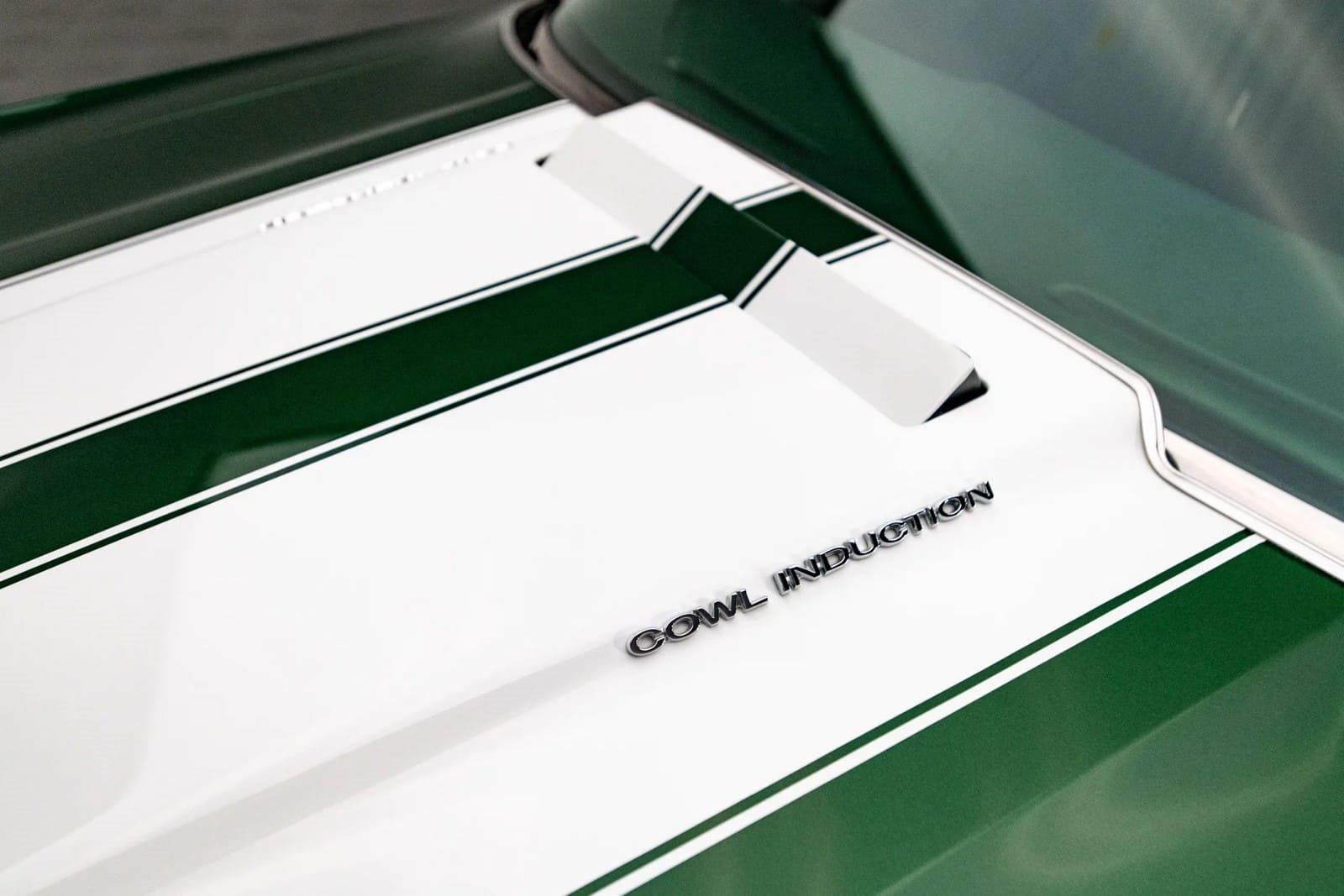 1970 - CHEVROLET CHEVELLE SS FOREST GREEN, foto 5