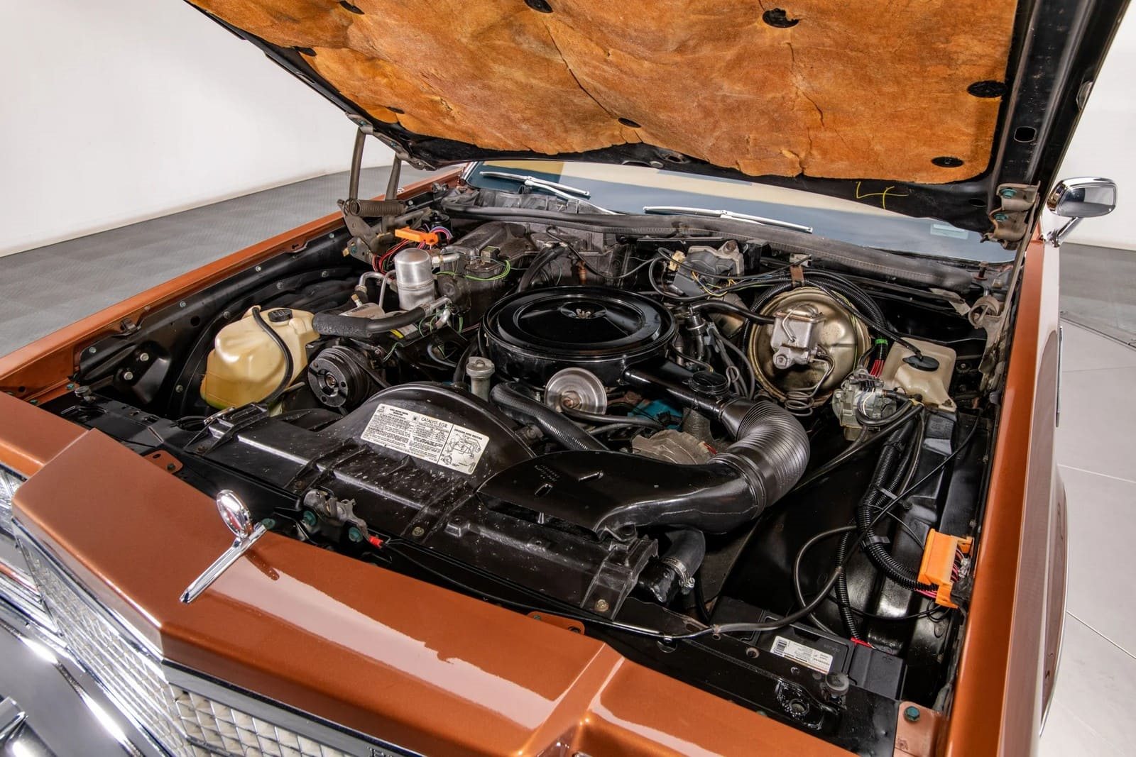 BUICK ELECTRA LIMITED, foto 19