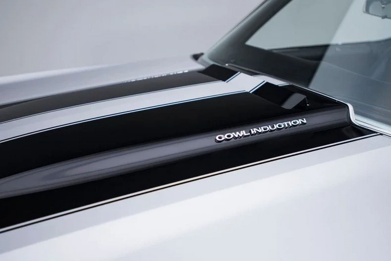 1970 - CHEVROLET CHEVELLE SS CONVERTIBLE CORTEZ SILVER, foto 17