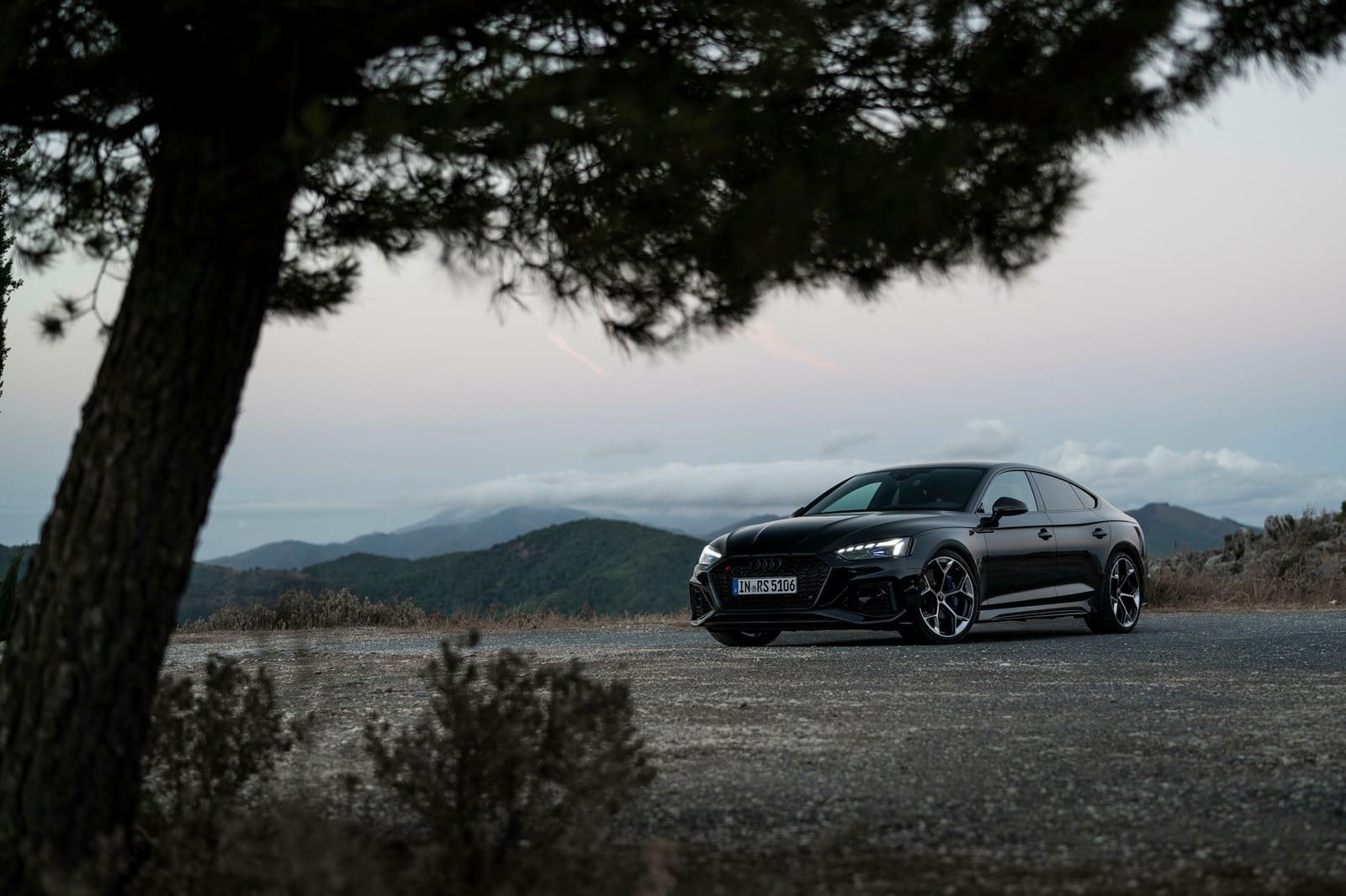 AUDI RS 5 SPORTBACK PERFORMANCE EDITION, foto 4