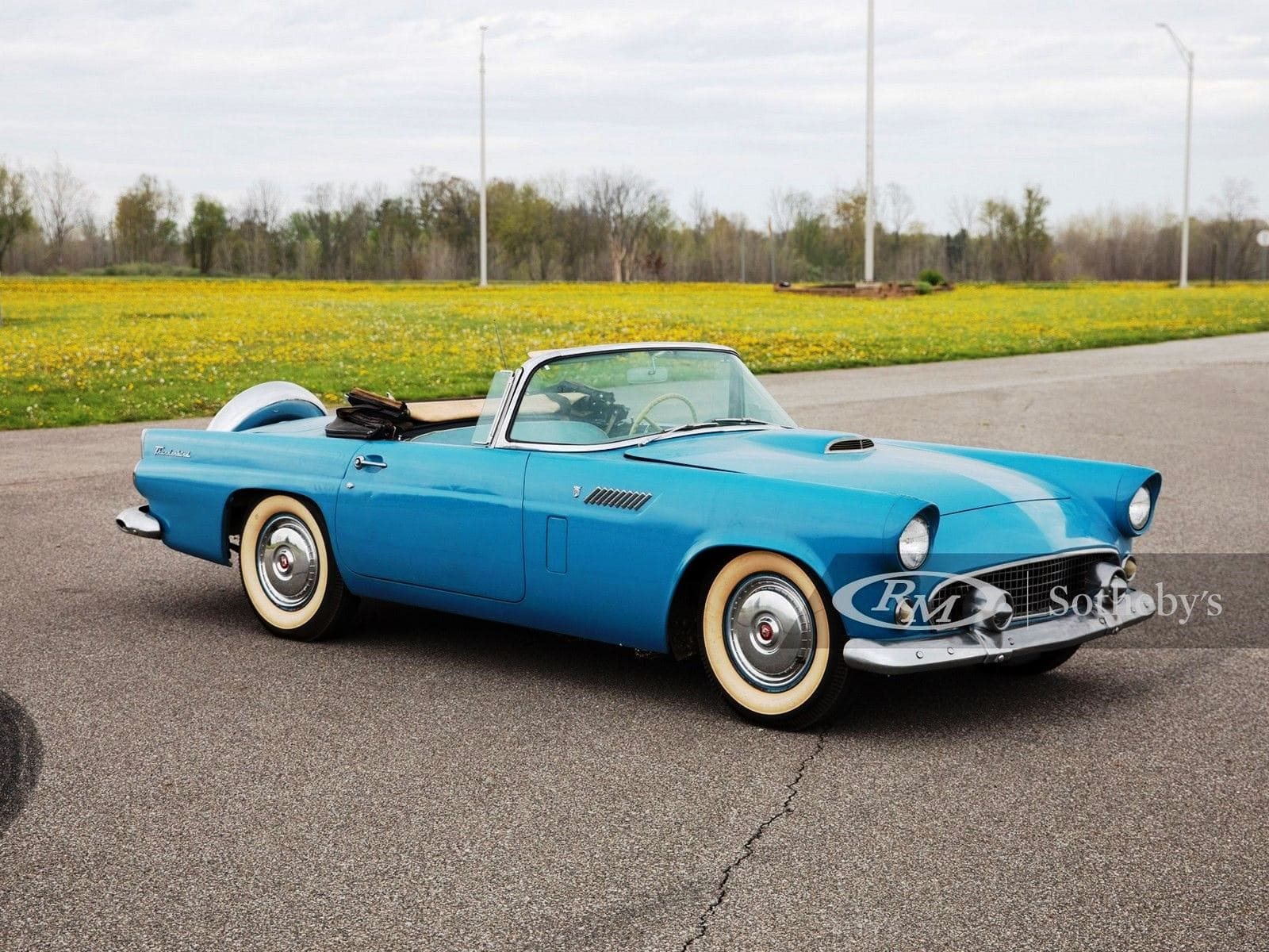 1956 - FORD THUNDERBIRD BERMUDA BLUE, foto 5