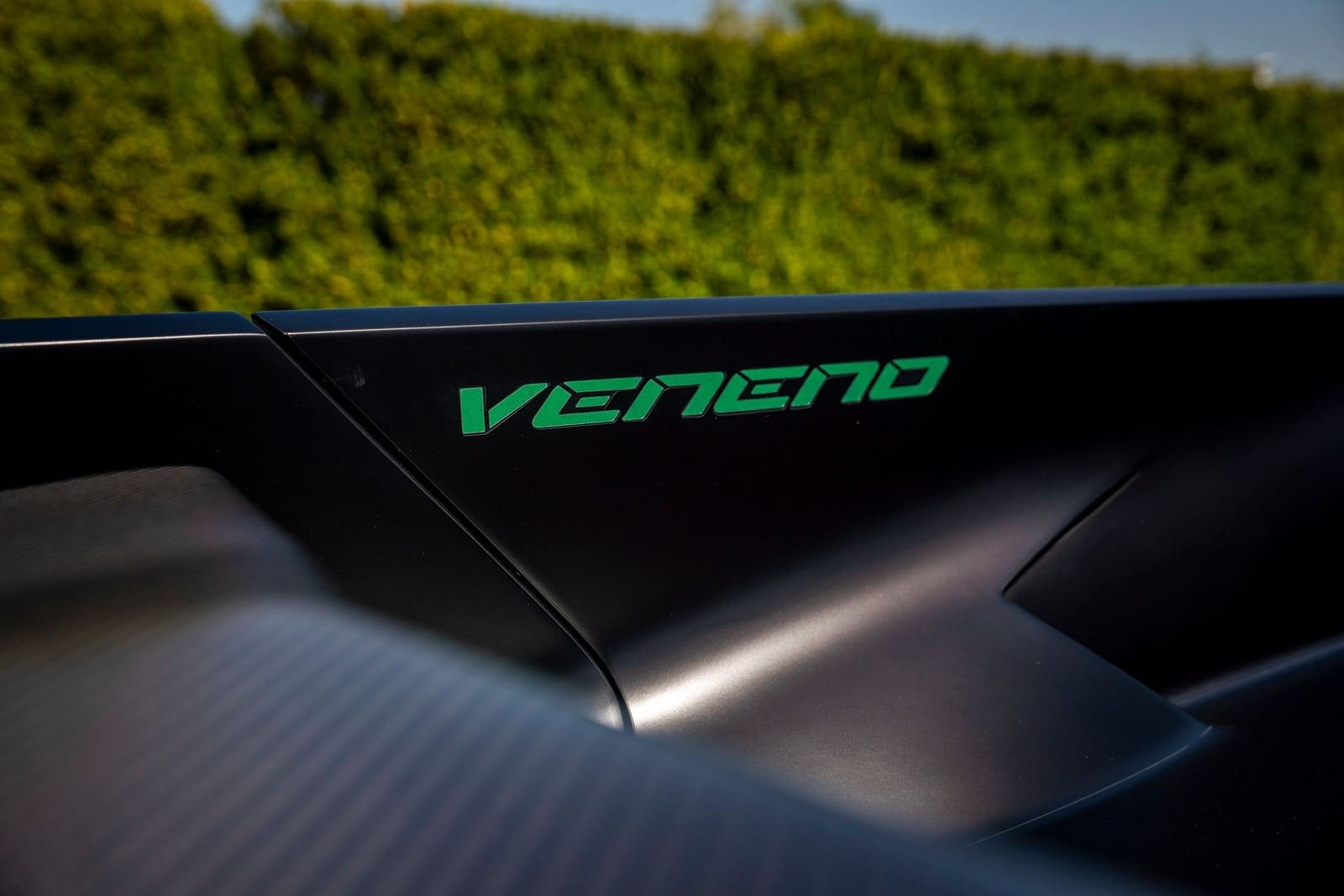 LAMBORGHINI VENENO ROADSTER, foto 44