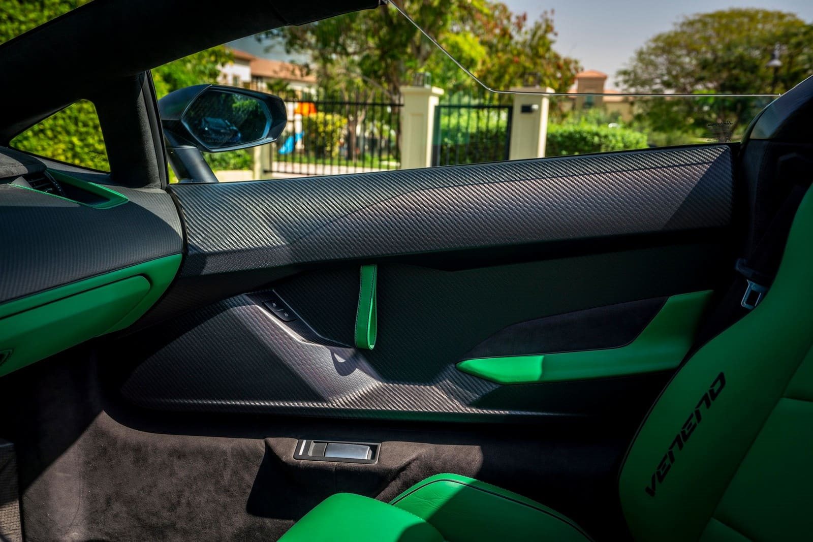 LAMBORGHINI VENENO ROADSTER, foto 114