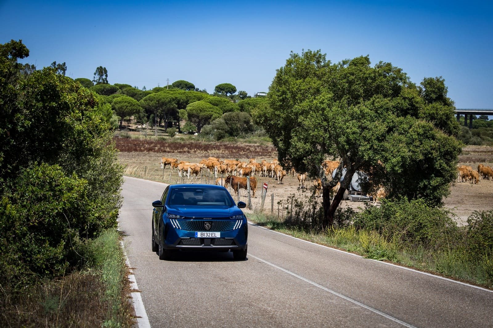 2024 - PEUGEOT 3008 ALLURE HYBRID OBSESSION BLUE, foto 9