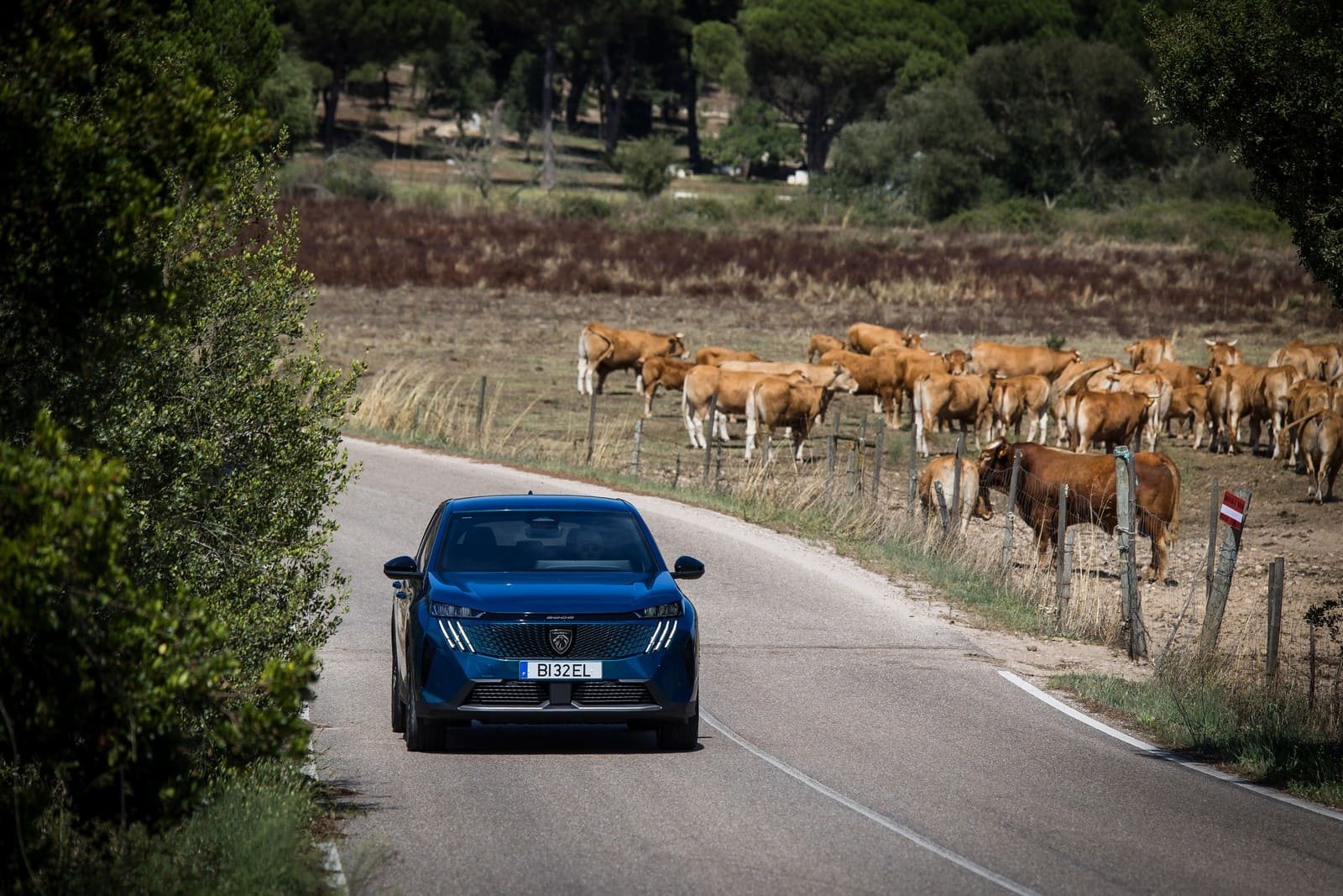2024 - PEUGEOT 3008 ALLURE HYBRID OBSESSION BLUE, foto 10
