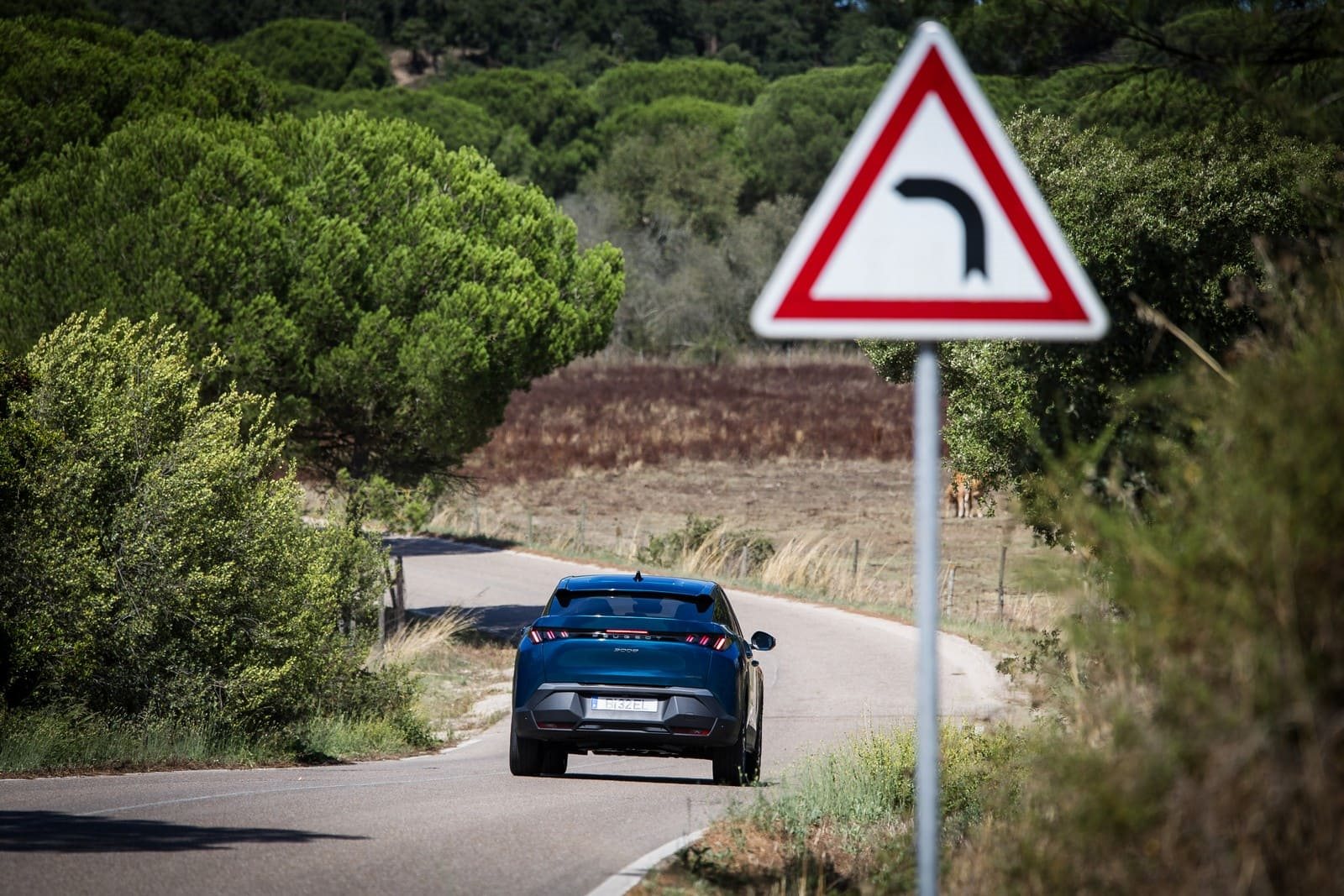 2024 - PEUGEOT 3008 ALLURE HYBRID OBSESSION BLUE, foto 11