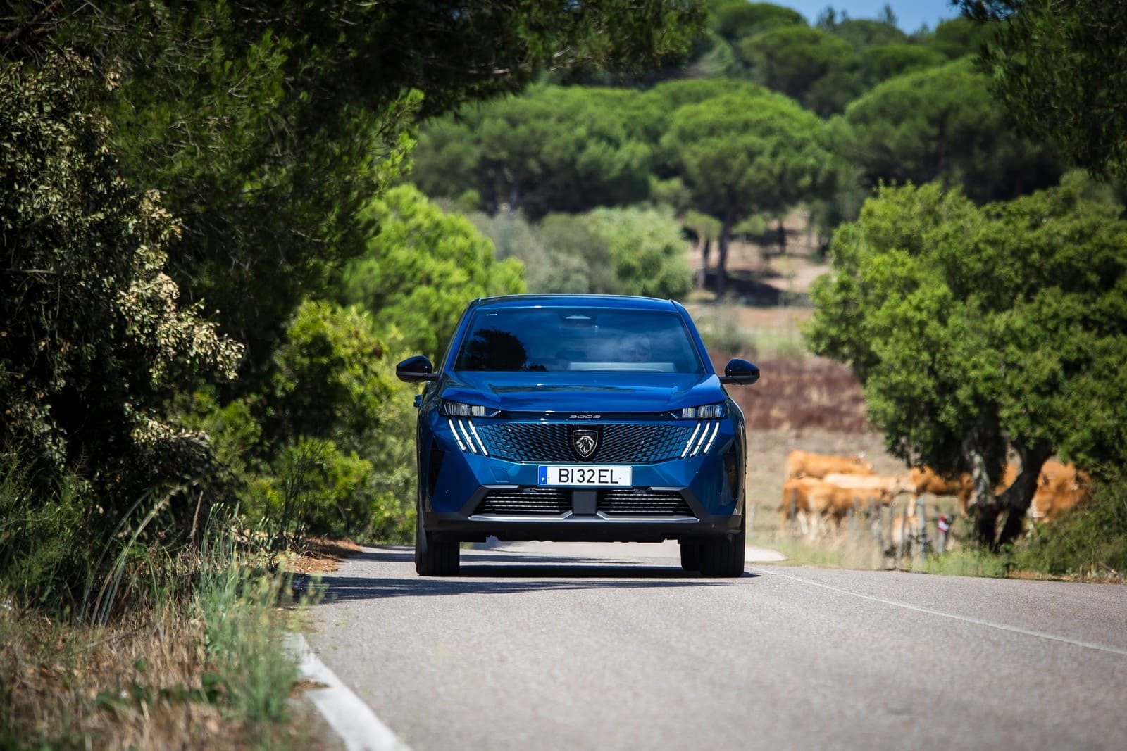 2024 - PEUGEOT 3008 ALLURE HYBRID OBSESSION BLUE, foto 13