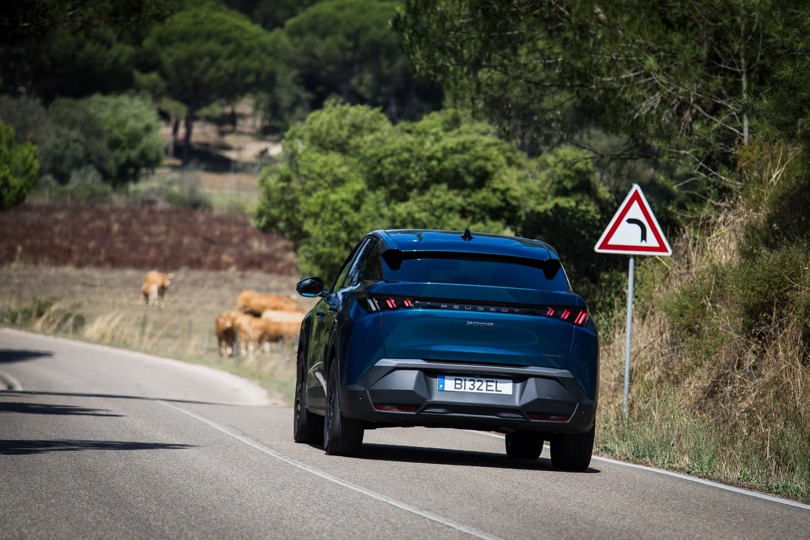 2024 - PEUGEOT 3008 ALLURE HYBRID OBSESSION BLUE, foto 14