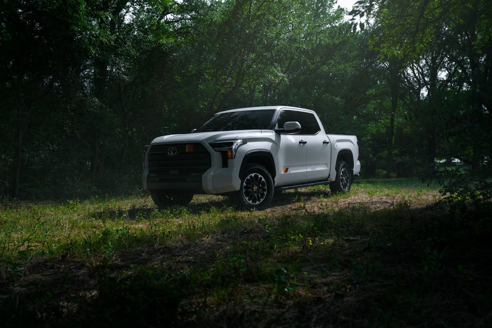 2025 - TOYOTA TUNDRA TRD RALLY PACKAGE, foto 2