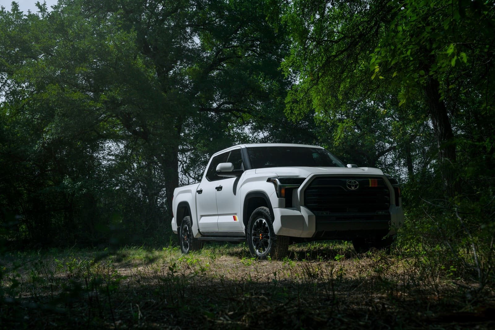 2025 - TOYOTA TUNDRA TRD RALLY PACKAGE, foto 3
