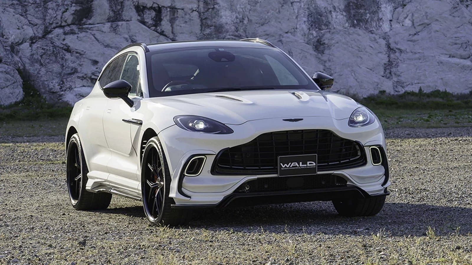 2024 - ASTON MARTIN DBX BLACK BISON BY WALD, foto 1