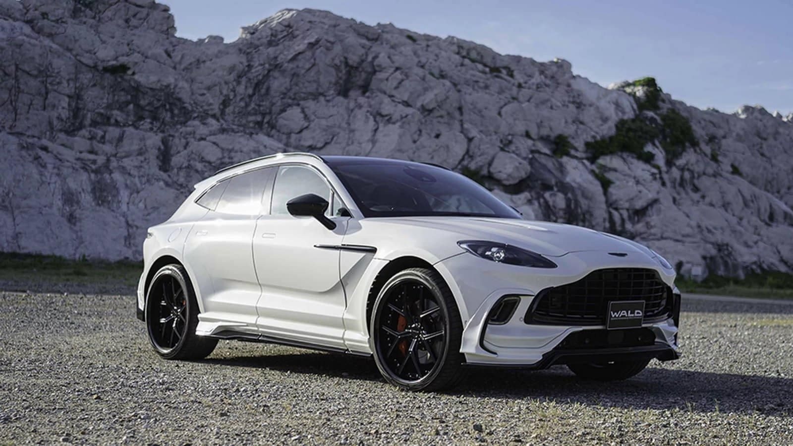 2024 - ASTON MARTIN DBX BLACK BISON BY WALD, foto 2