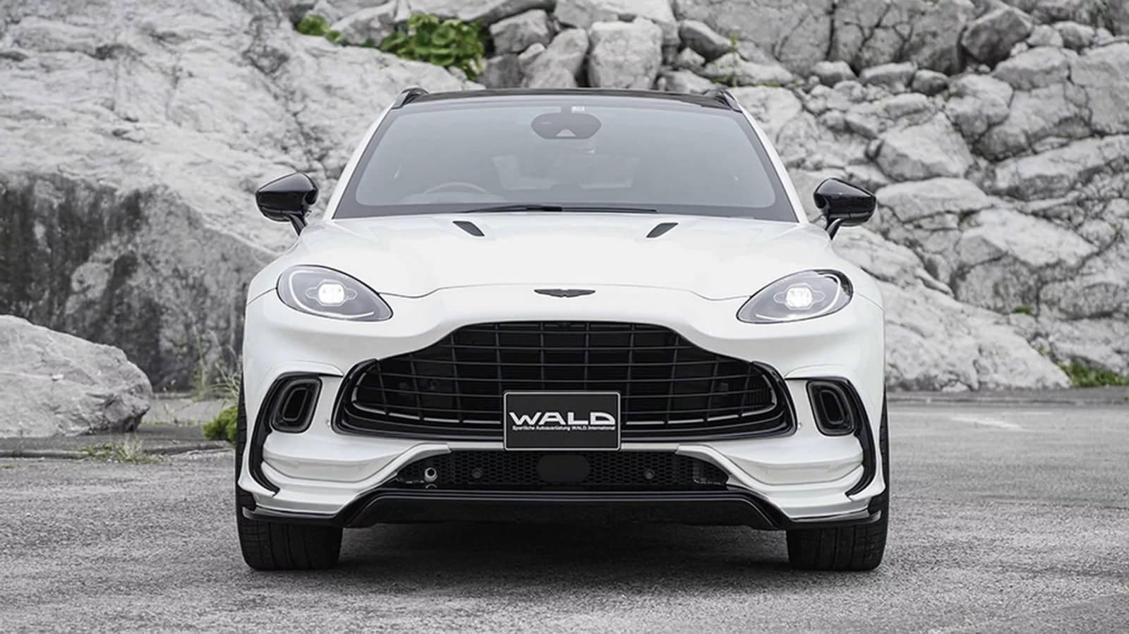 2024 - ASTON MARTIN DBX BLACK BISON BY WALD, foto 3
