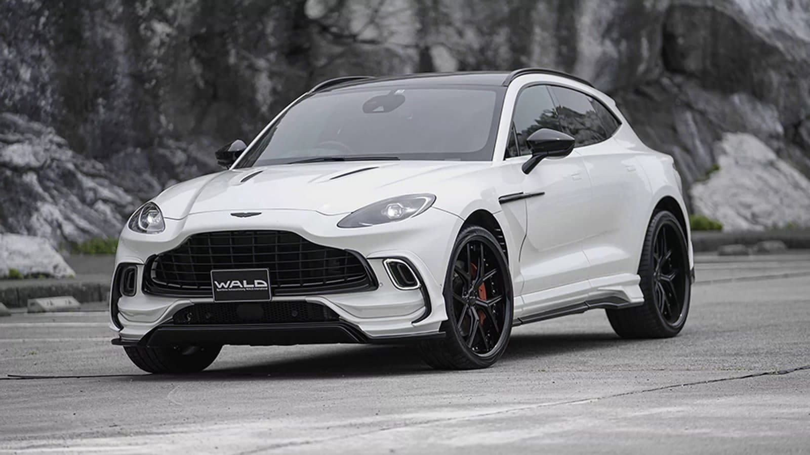 2024 - ASTON MARTIN DBX BLACK BISON BY WALD, foto 4