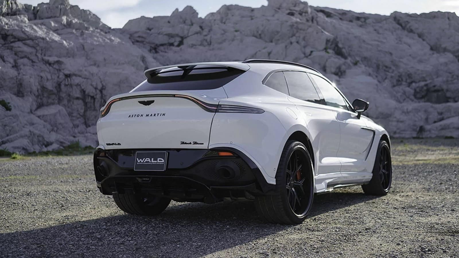 2024 - ASTON MARTIN DBX BLACK BISON BY WALD, foto 9