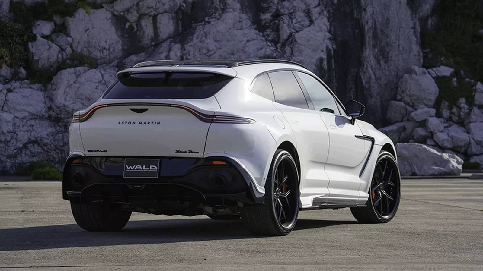 2024 - ASTON MARTIN DBX BLACK BISON BY WALD, foto 10