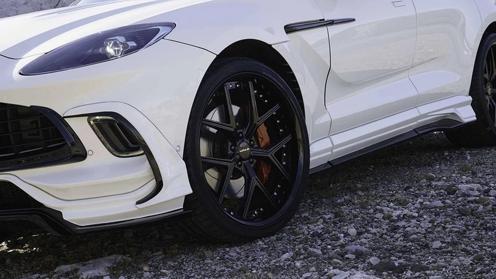 2024 - ASTON MARTIN DBX BLACK BISON BY WALD, foto 13