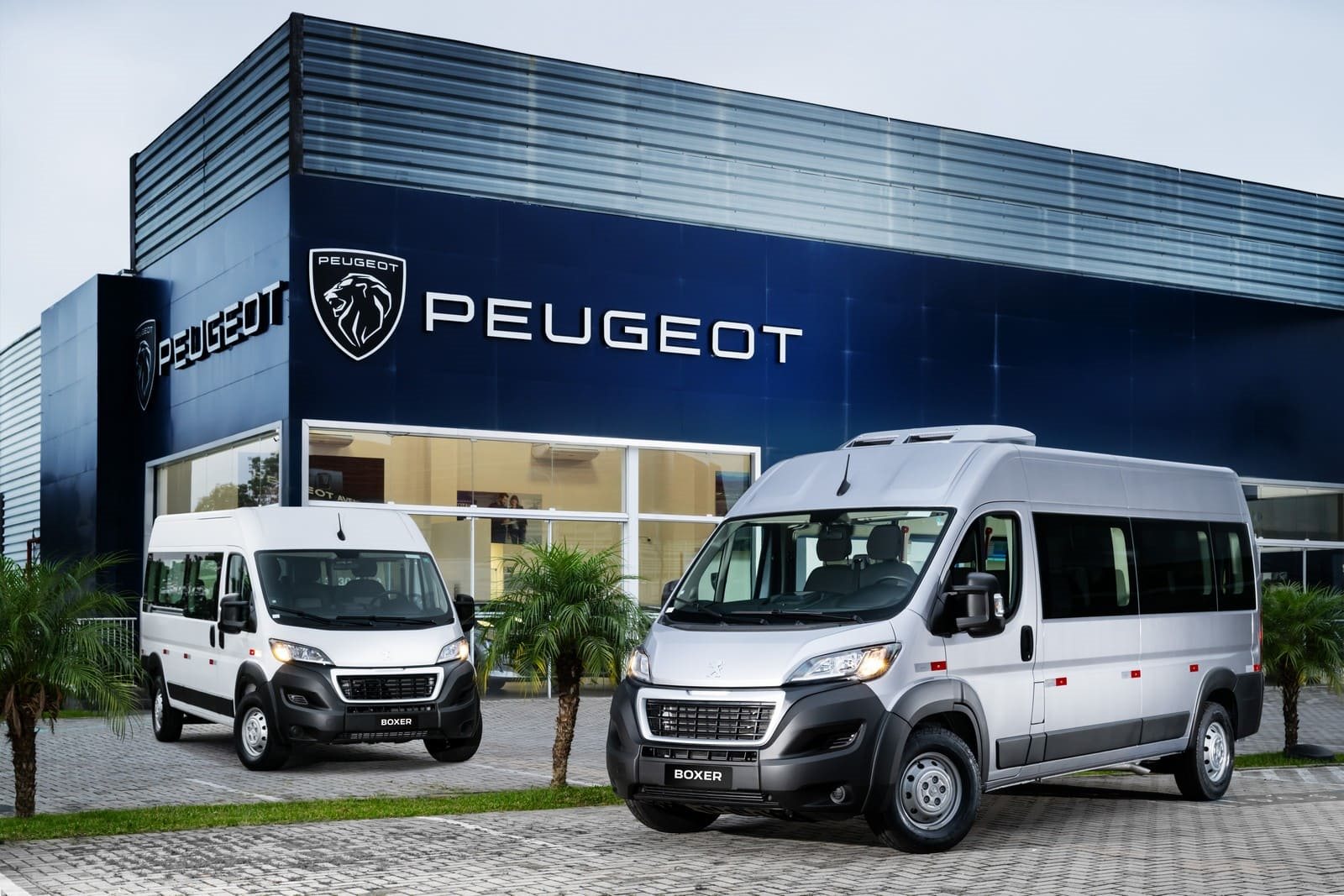 PEUGEOT BOXER MINIBUS, foto 3