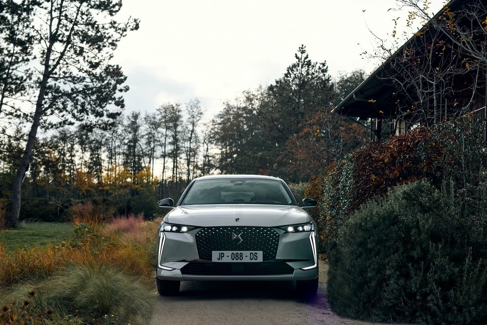 DS 4 PALLAS & ÉTOILE, foto 3