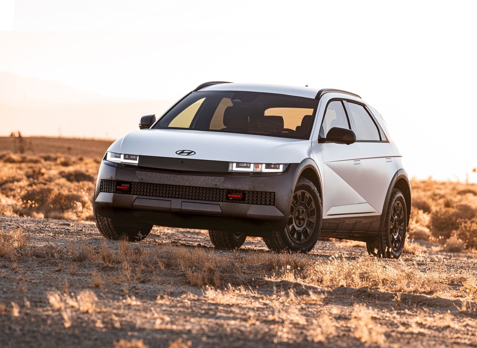 2025 - HYUNDAI IONIQ 5 XRT, foto 16