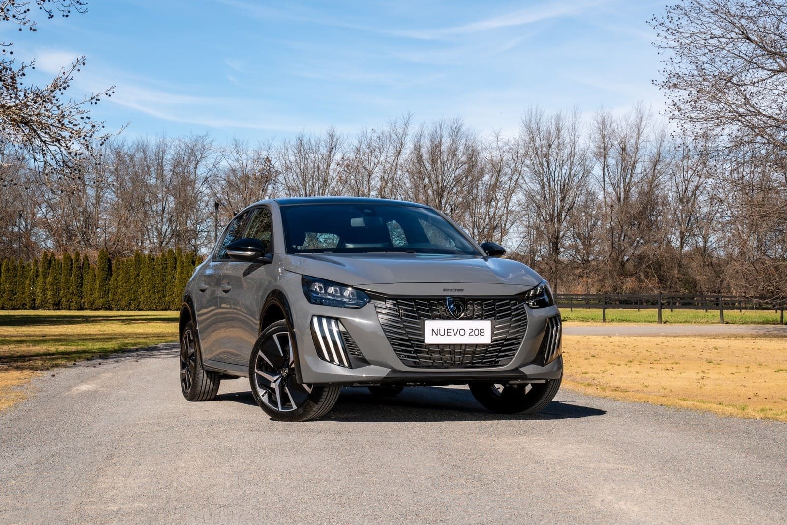 PEUGEOT 208, foto 48