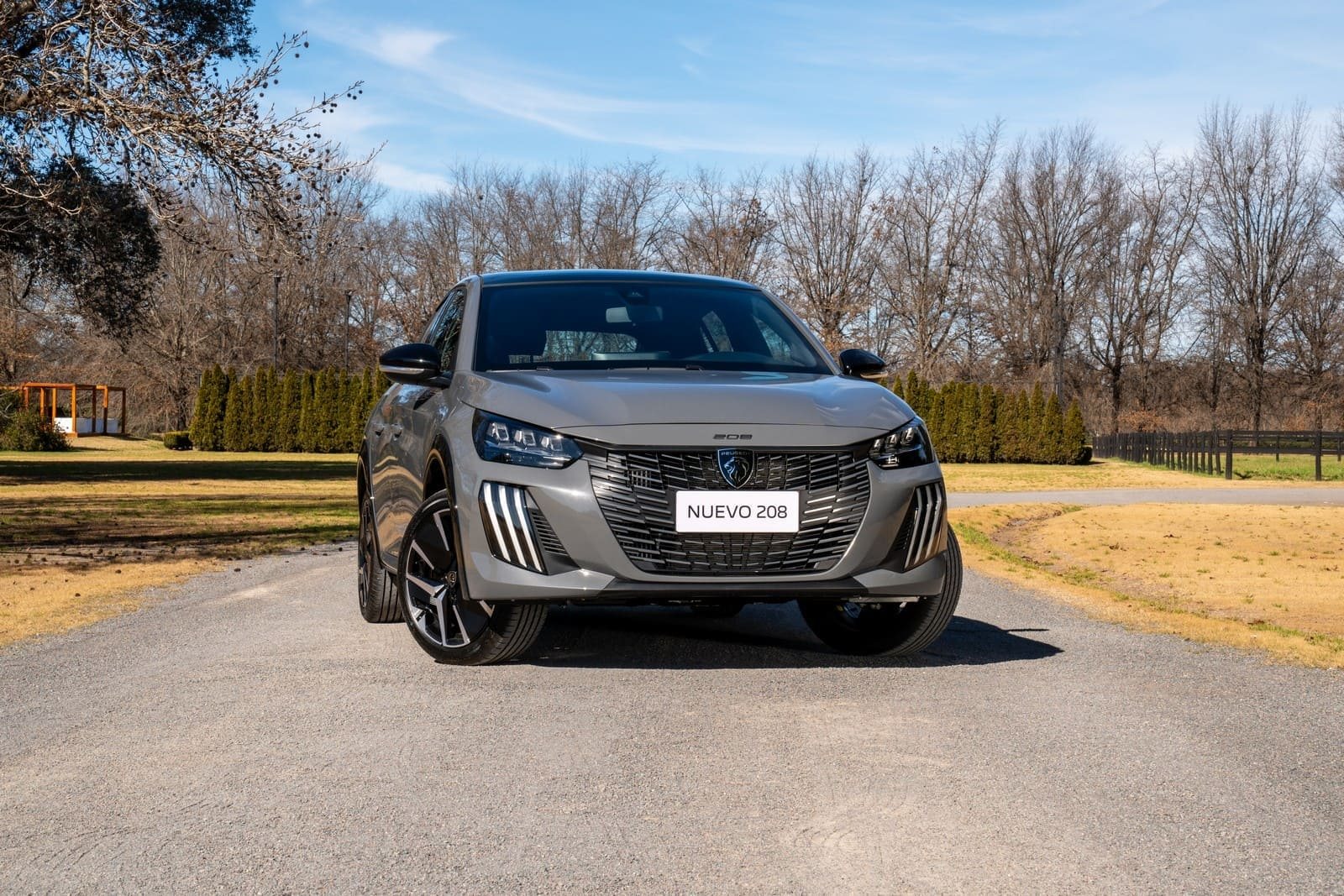 PEUGEOT 208, foto 49