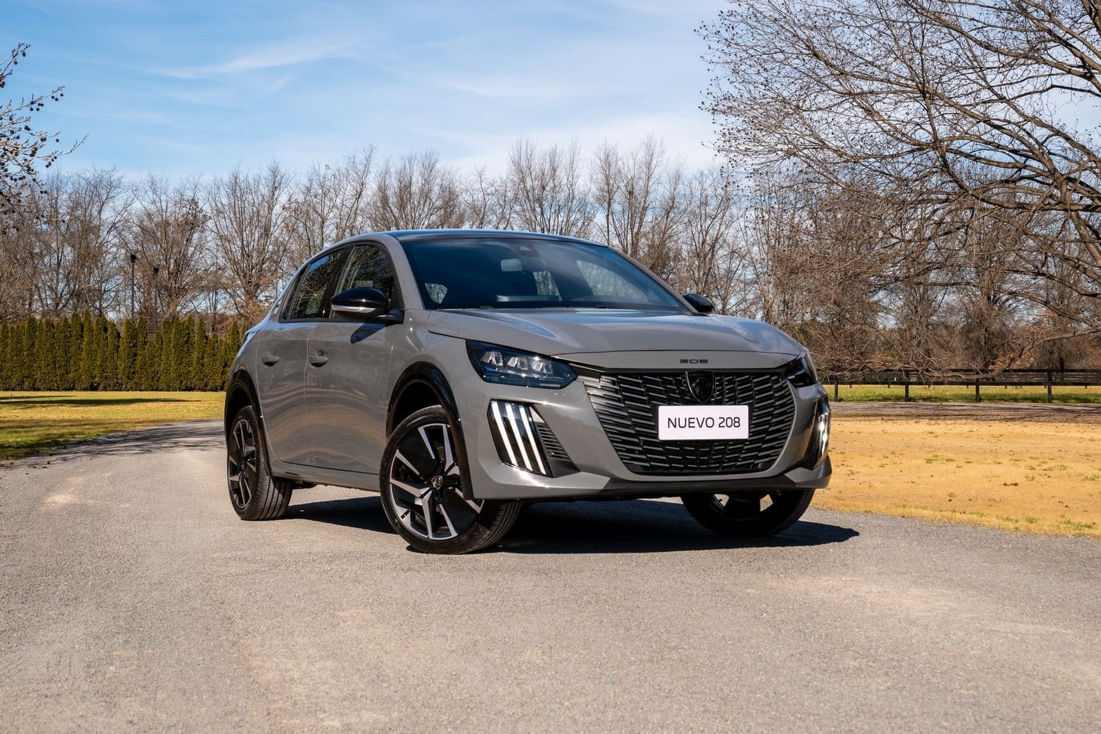 PEUGEOT 208, foto 50