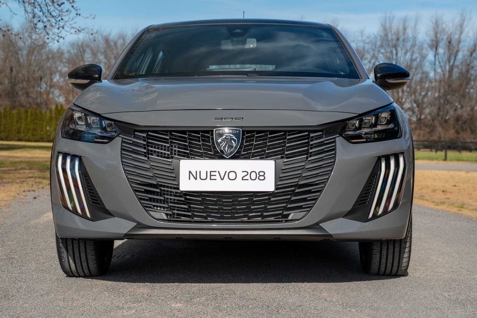PEUGEOT 208, foto 67