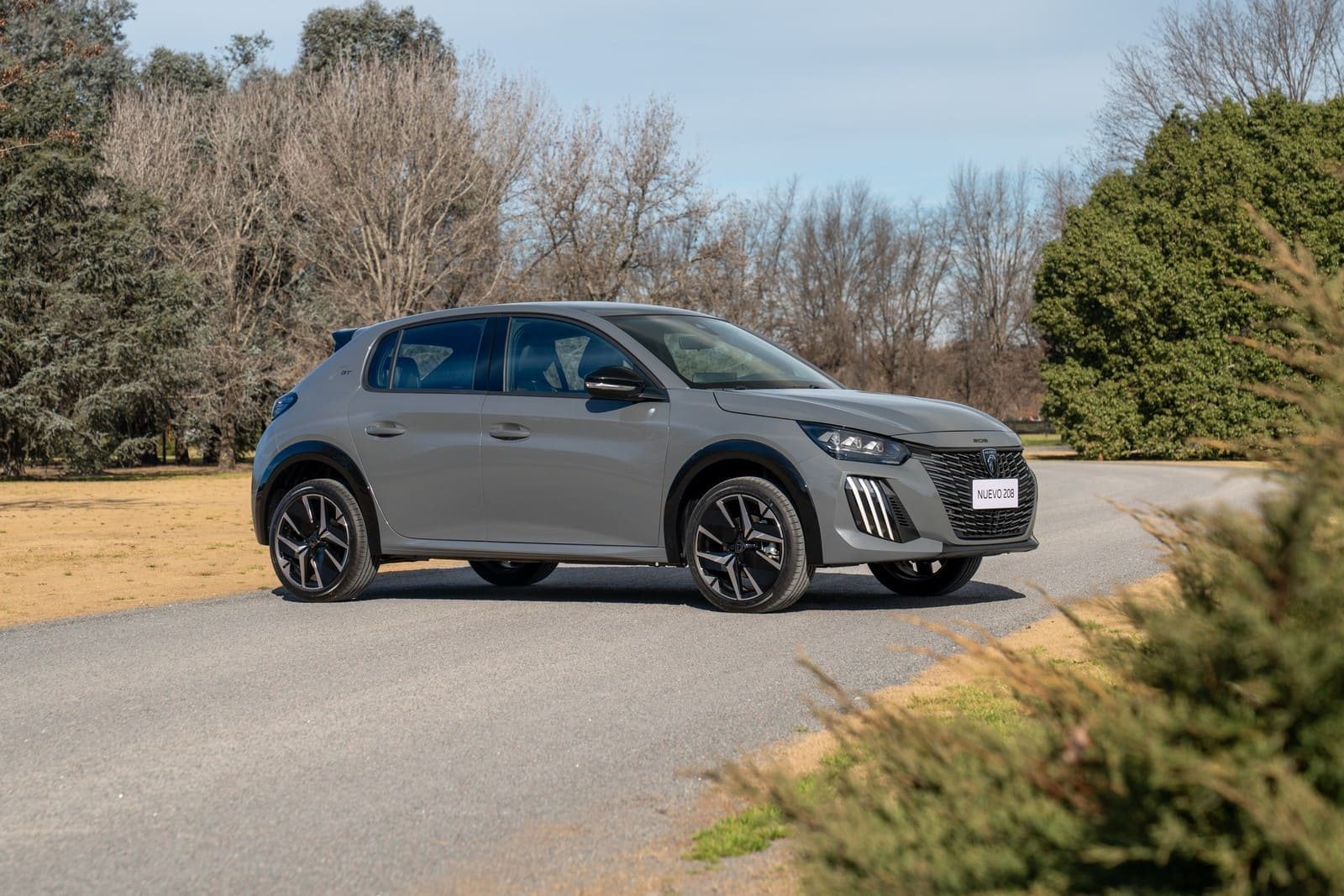 PEUGEOT 208, foto 72