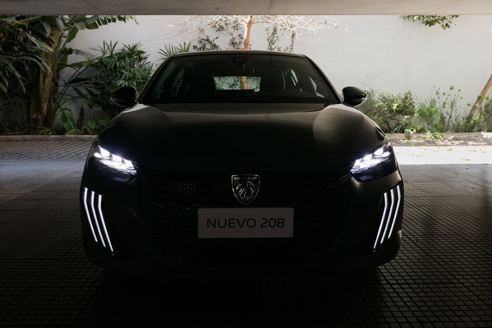 PEUGEOT 208, foto 110