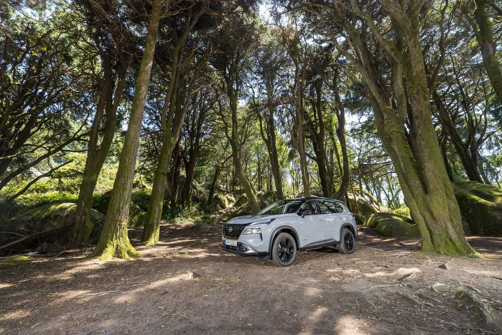 2024 - NISSAN X-TRAIL N-TREK, foto 20