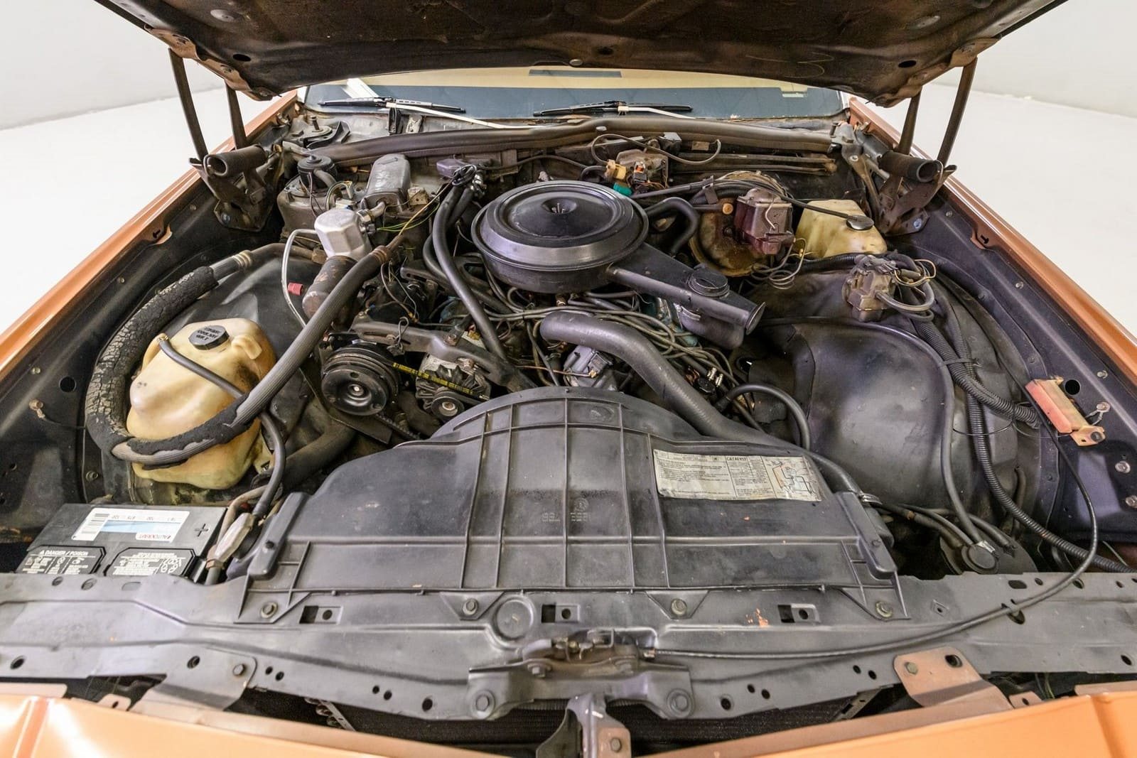 BUICK ELECTRA LIMITED, foto 32
