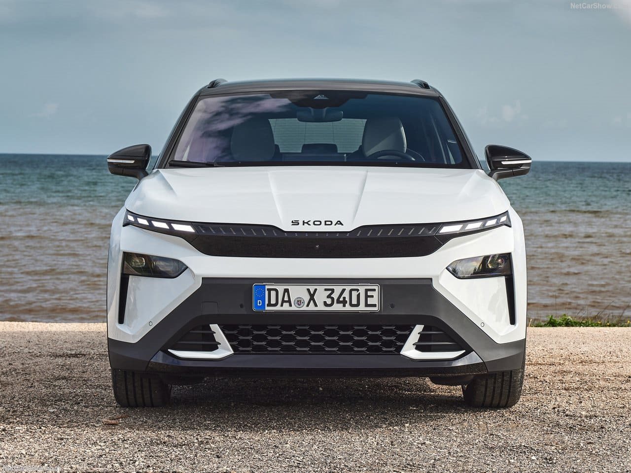 SKODA ELROQ, foto 85