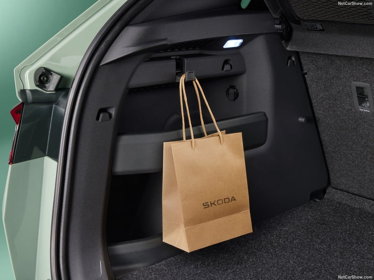 SKODA ELROQ, foto 162